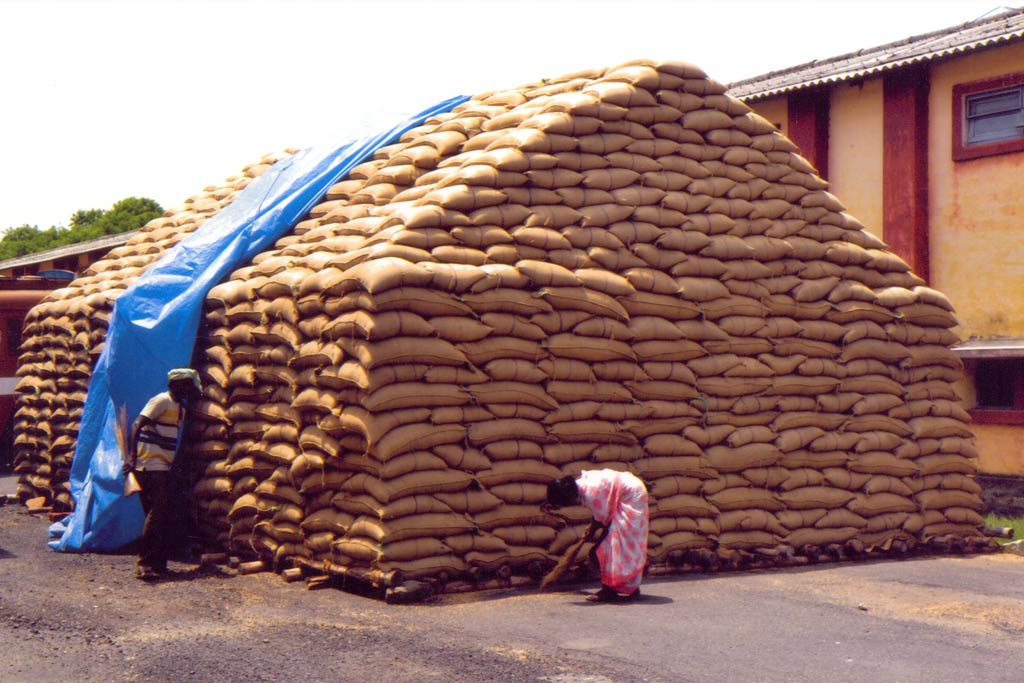 तांदळाचे दर वाढणार की घटणार... केंद्र सरकारने घेतला हा निर्णय...