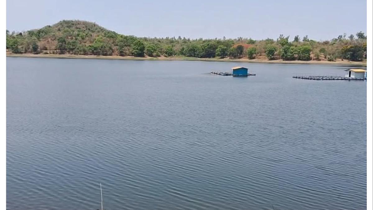 सातपुडा पर्वतरांगेत पर्यटनाला जायचंय? मग या महोत्सवाला नक्की जा... 