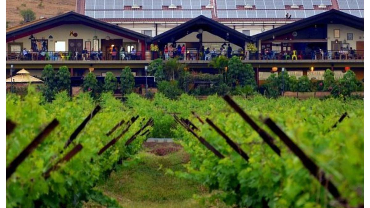 गोवर्धन ते सुला वाईन रस्त्यावरील मृत्यूप्रकरणी मंत्र्यांनी दिले हे आदेश...