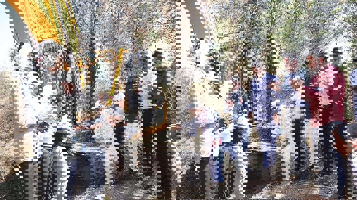 धरणगाव तालुक्यातील २१० किमी नाले आणि नदीपात्रांचे खोलीकरण... लोकसहभागातून उपक्रमाचा शुभारंभ...