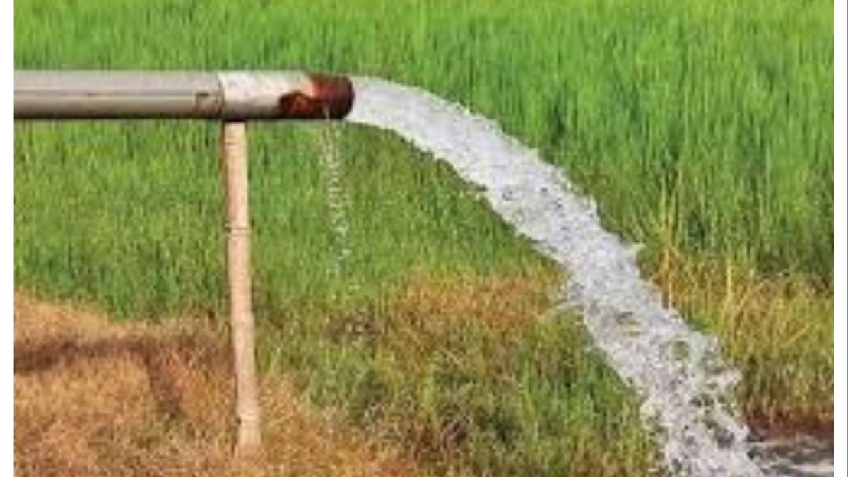 मुख्यमंत्री बळीराजा मोफत वीज योजनेचा असा मिळणार लाभ... 