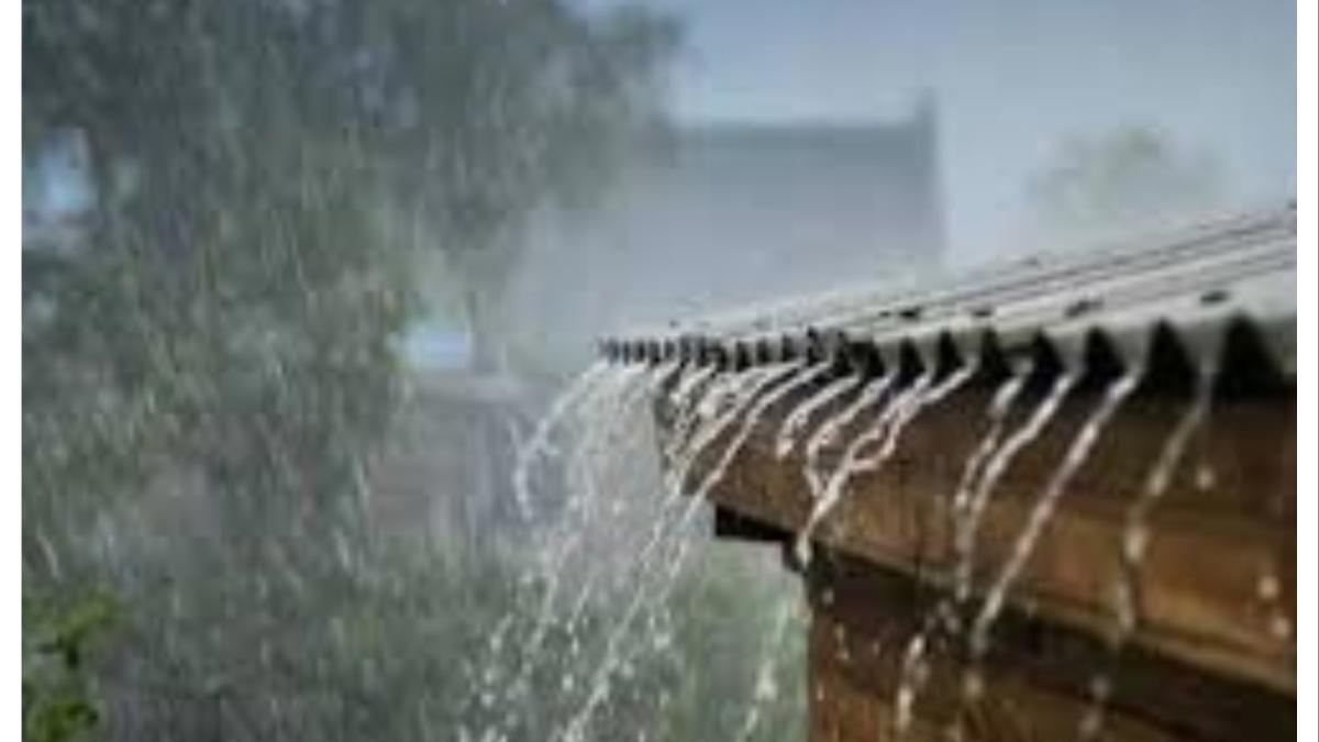 राज्यात मेघगर्जनेसह वादळी पावसाचा इशारा...