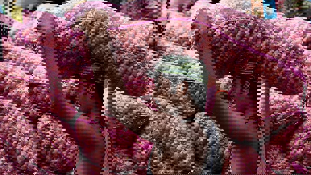 कांदा गेला अन् पैसेही...  नाशिकच्या कांदा व्यापाऱ्याला लाखोंचा चुना...