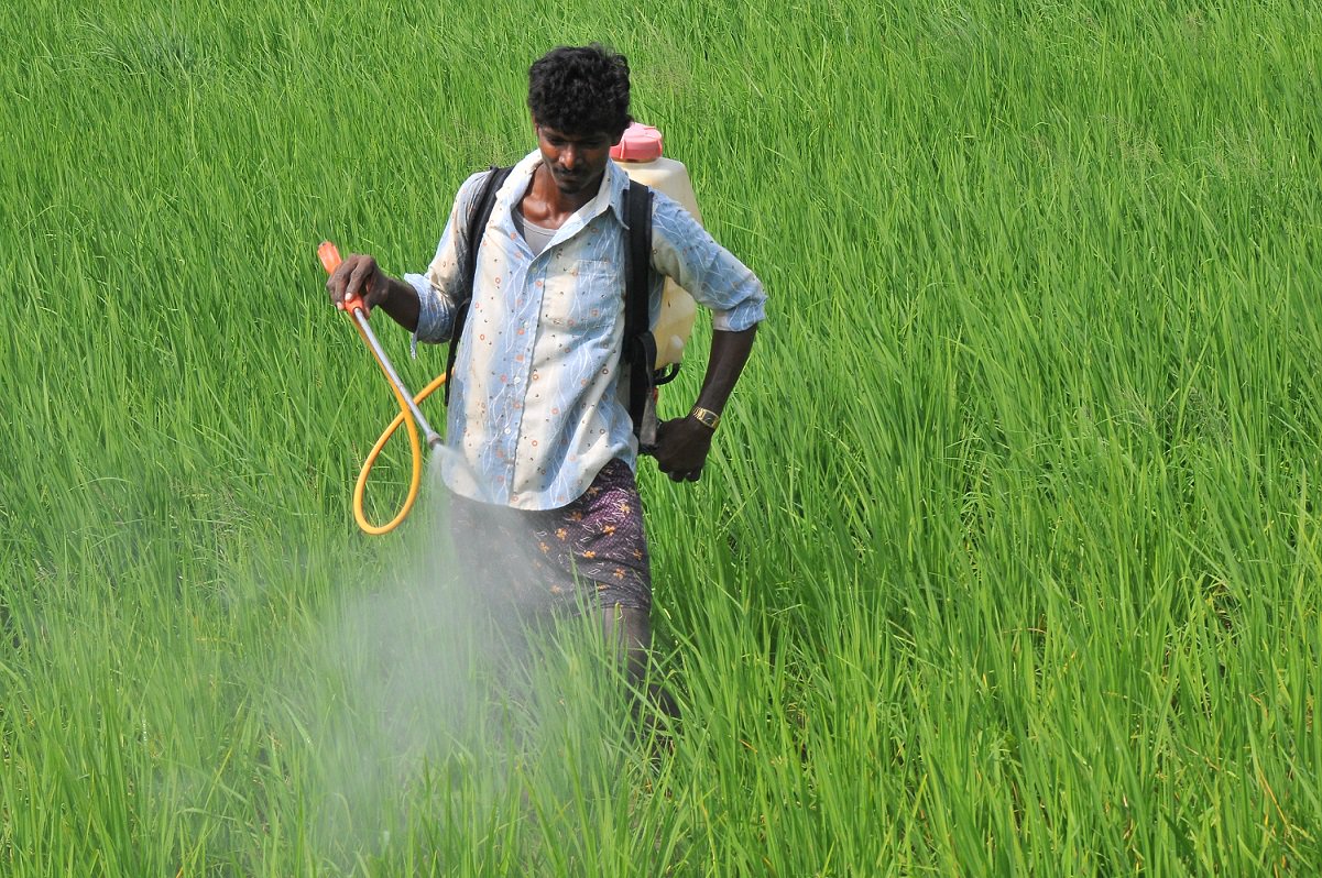 मेडिकल स्टोअर्स, किराणा दुकाने, सुपर मार्केट, बझार मध्ये होतेय चक्क याची विक्री...