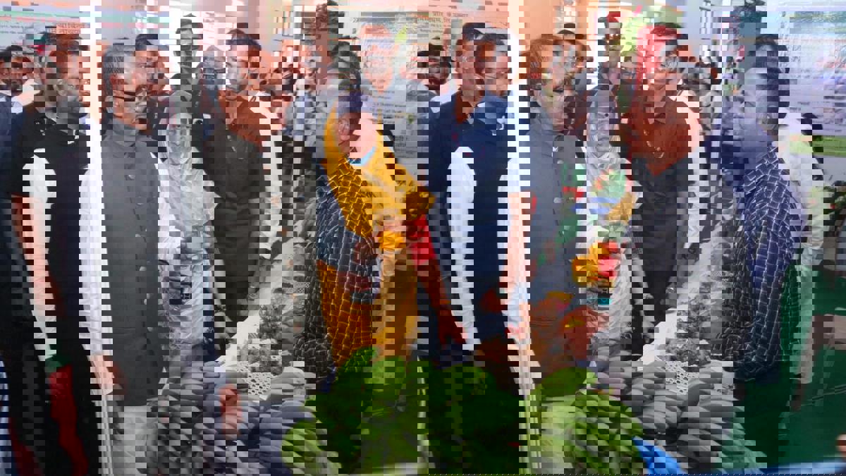 केळी उत्पादकांसाठी केंद्रीय कृषी मंत्र्यांची मोठी घोषणा...