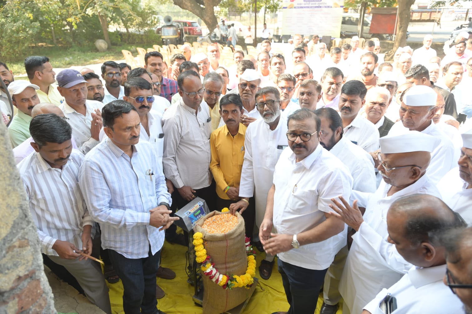 येवल्यात आणखी एका शासकीय मका खरेदी केंद्राचा शुभारंभ... शेतकऱ्यांना असा होणार फायदा...