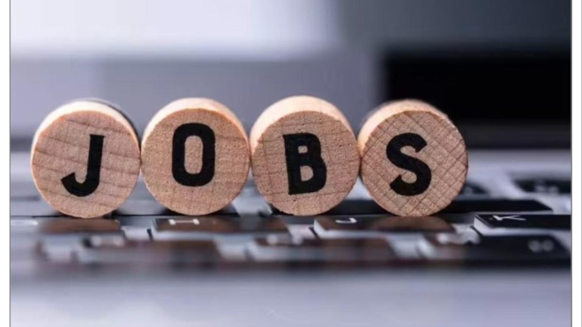 या पदासाठी कोणतीही पदवी ग्राह्य... विद्यार्थ्यांना मोठी संधी...