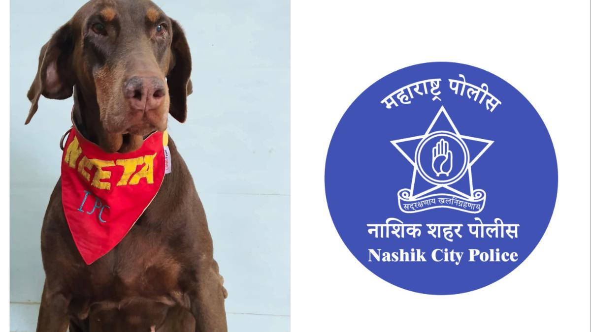सॅल्यूट! ४८० गुन्ह्यांची उकल, १० वर्षे अहोरात्र सेवा... नाशिकच्या 'सुपर कॉप' श्वानाची सेवानिवृत्ती...