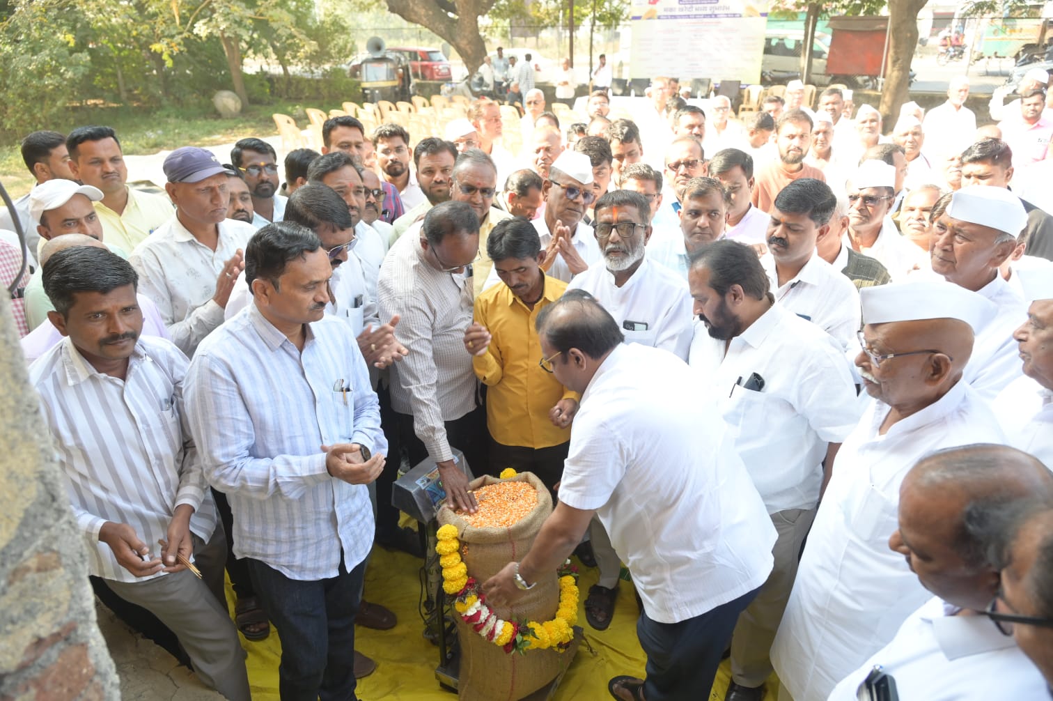 नाशिक जिल्ह्यातील मका उत्पादक शेतकऱ्यांसाठी राज्य सरकारचा मोठा निर्णय...