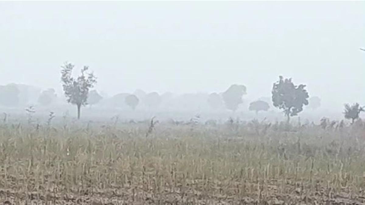 सावधान...  राज्यात पुन्हा अवकाळी पावसाचा इशारा...  असा आहे हवामान अंदाज...