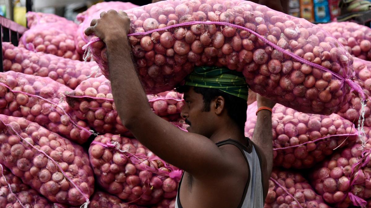 कांद्यासंदर्भात मोदी सरकारचा मोठा निर्णय...  शेतकऱ्यांना फायदा की तोटा?