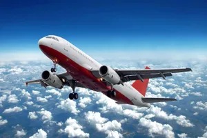 आयएएस अधिकाऱ्याला विमानात चढण्यापासून रोखले...