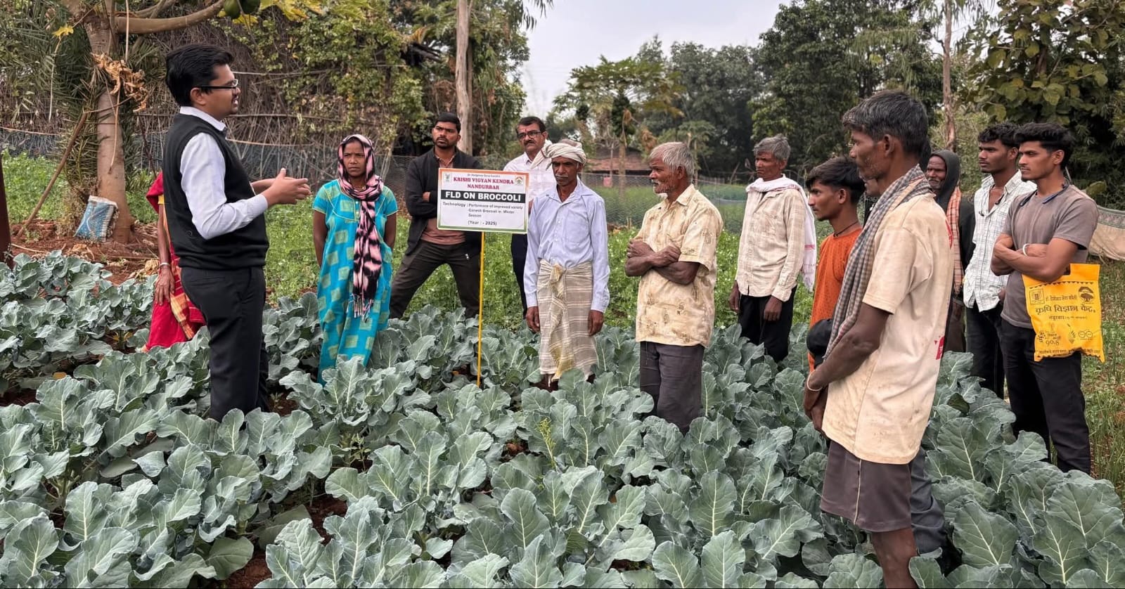 सातपुड्यात उगवली ब्रोकोली...आदिवासी शेतकऱ्यांच्या उत्पन्नाला नवी दिशा...