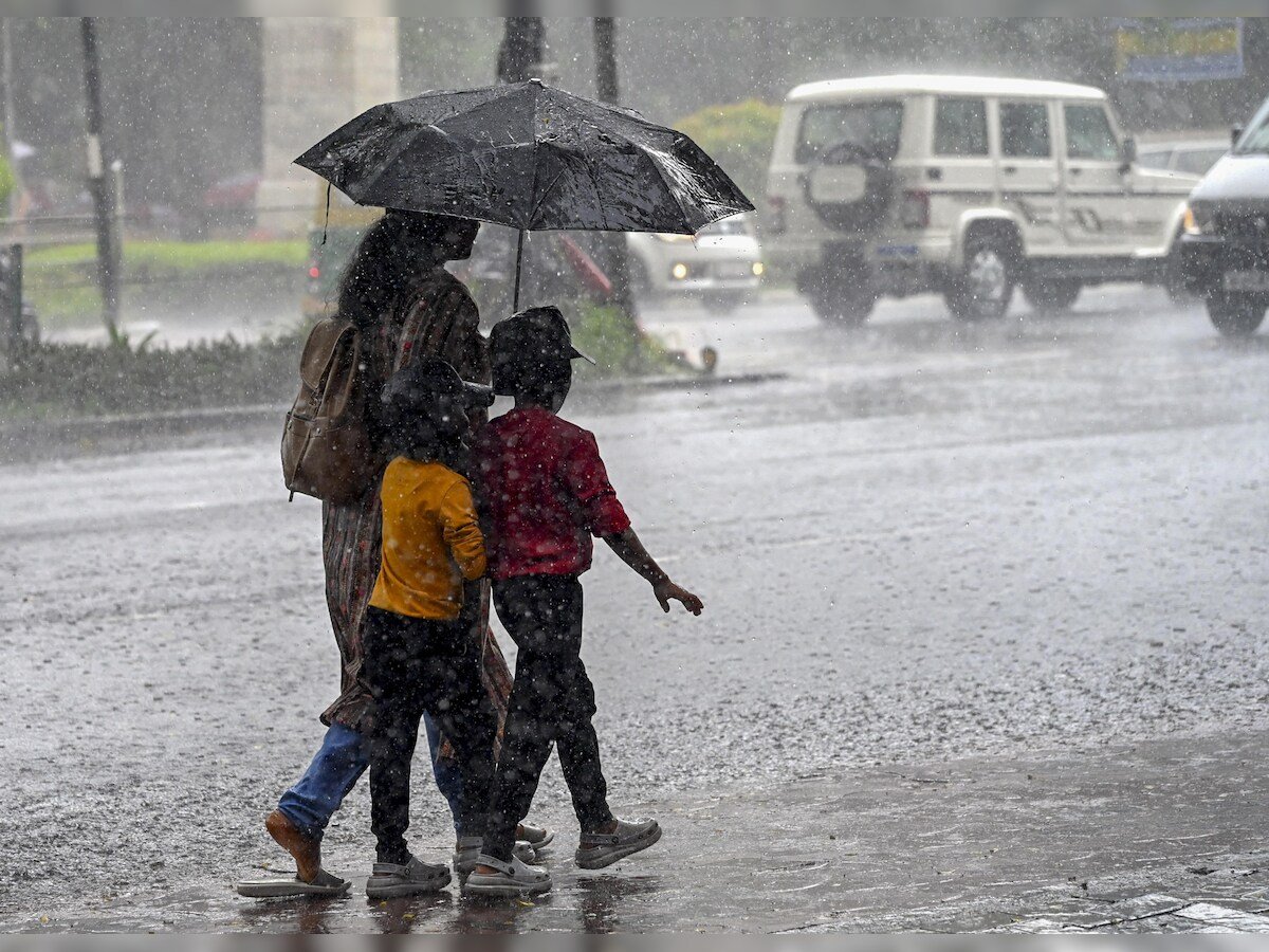 राज्यात मान्सून सक्रिय...  कुठे धुमशान? कुठे जोरदार?  असा आहे पावसाचा अंदाज...