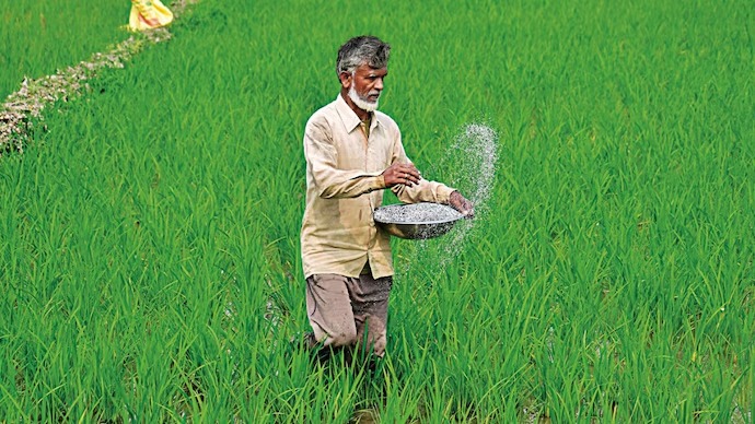 खरीप हंगामासाठी मोठी बातमी...  'हॉर्मुझची सामुद्रधुनी' ओलांडून खतांची ४ जहाजे भारताकडे...