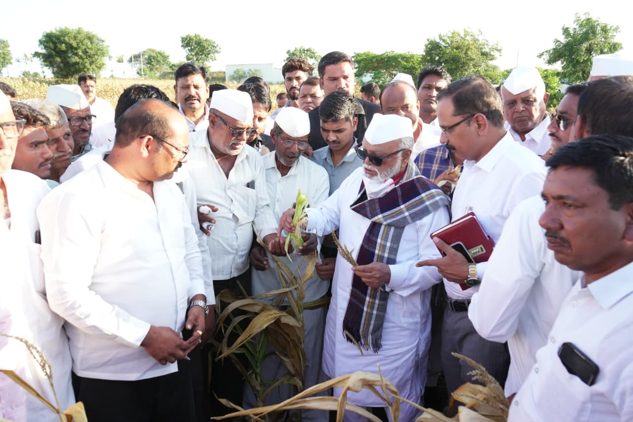 शेतकऱ्यांप्रती छगन भुजबळांची तळमळ...   काल प्रकृती बिघडली, आज  थेट दुष्काळग्रस्त शेतात...  येवला, निफाडमध्ये बळीराजाला दिला धीर...